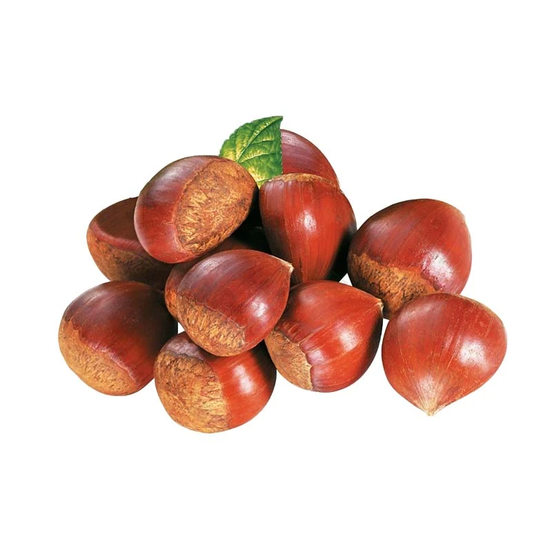 板栗 400g±50g/份