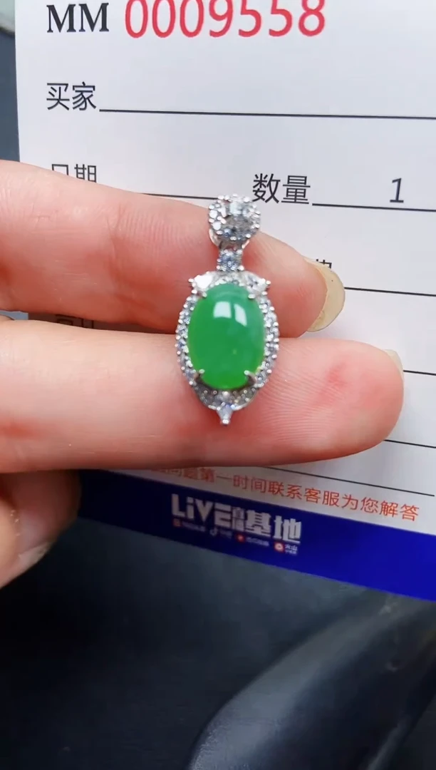 翡翠银S925镶嵌颈饰9558