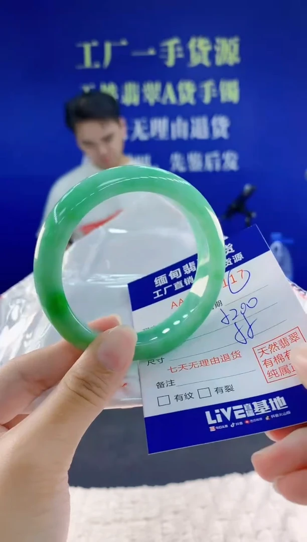 未镶嵌手镯翡翠17