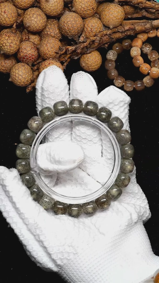 手串星月菩提11*10-1084黑透冰