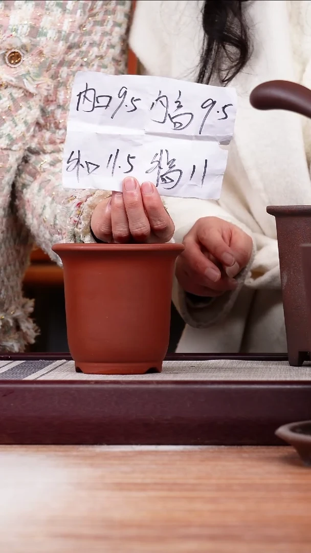 【闪购商品】紫砂花盆清水泥迷你小金钟一只无托