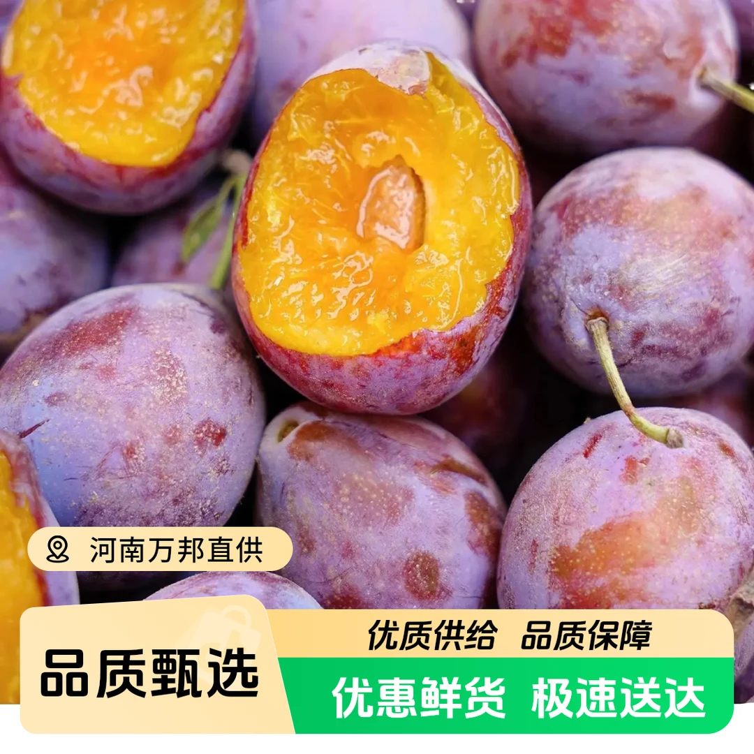 【顺丰快递】空运新疆喀什法兰西西梅应季水果新鲜采摘软硬两吃放软更甜
