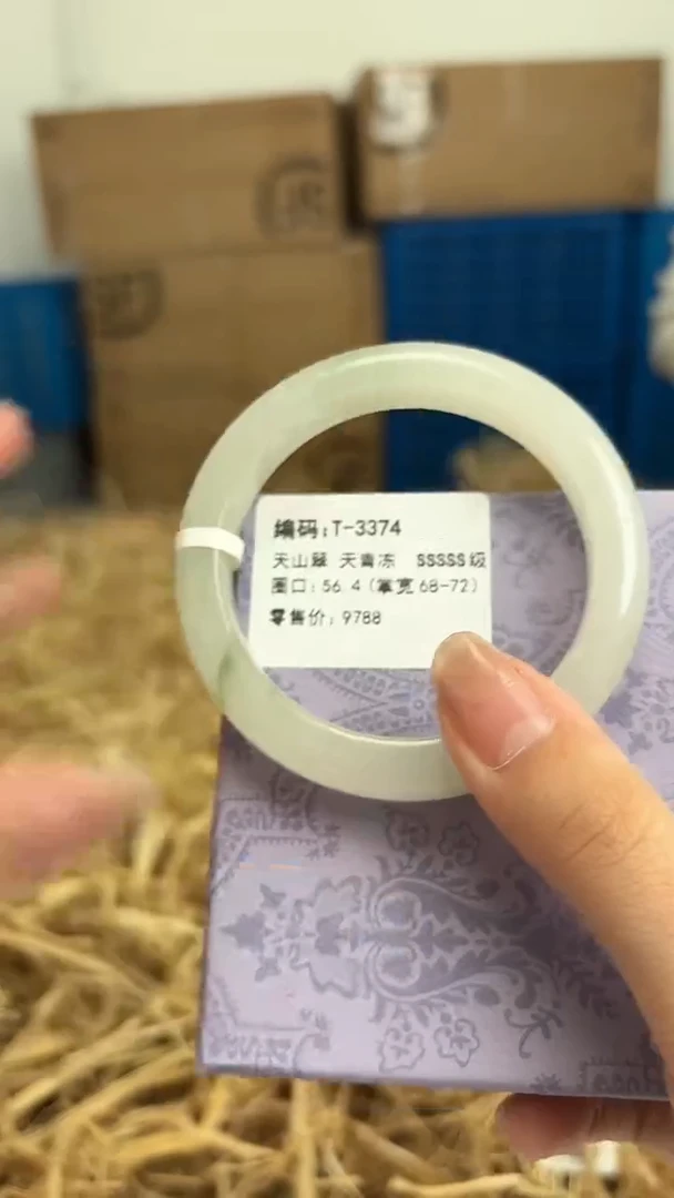 未镶嵌手镯石英质玉T3374