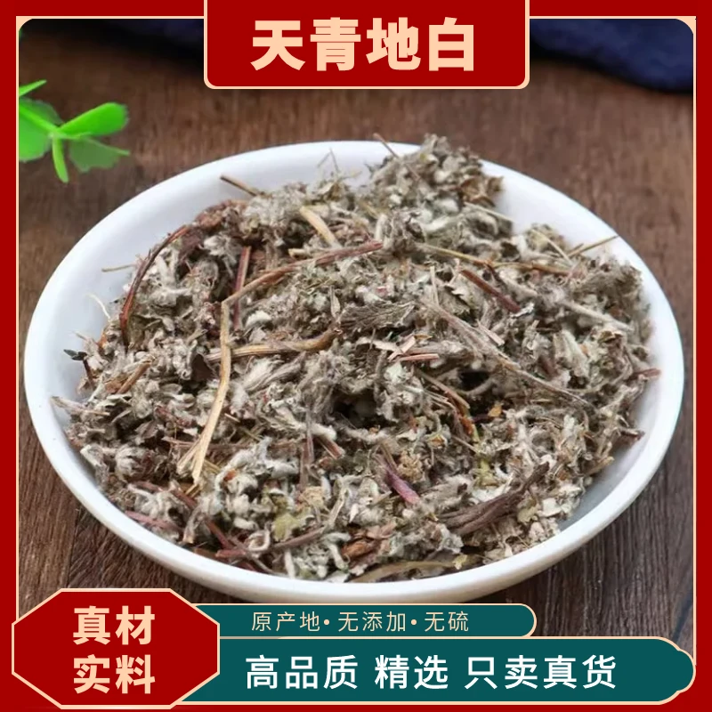 天青地白翻白草茯苓毛女儿菜清明草细叶鼠曲草小叶金鸡舌白招曲