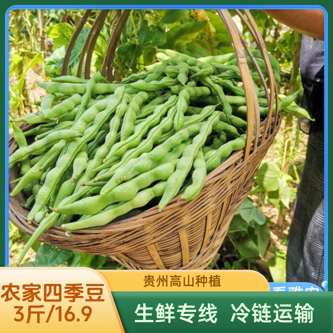 贵州高山农家蔬菜四季豆大青豆青棒豆肉豆芸豆架豆3斤冷链包邮