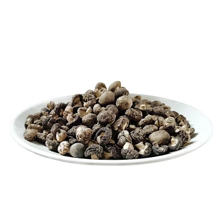 小杨山货干货精选高山新鲜(小香菇)当季特产干香菇炒菜煲汤500g