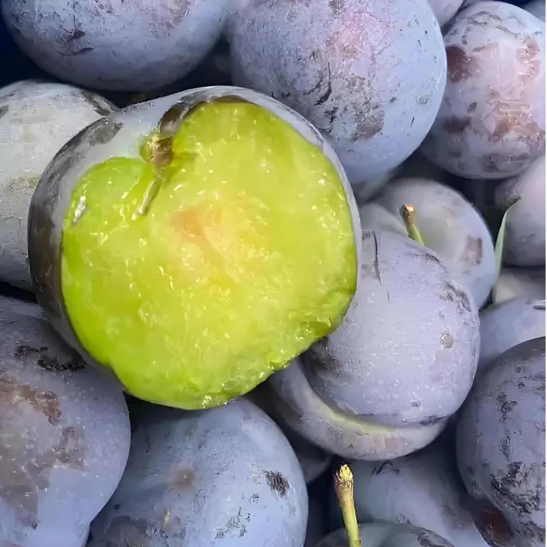 （3斤）试吃装现摘现发四川五月脆凤凰李脱骨新鲜