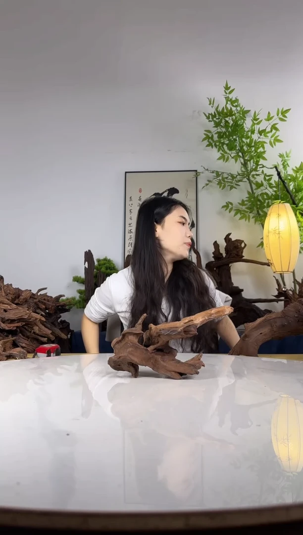 畲**蚁拍这个定向编号5