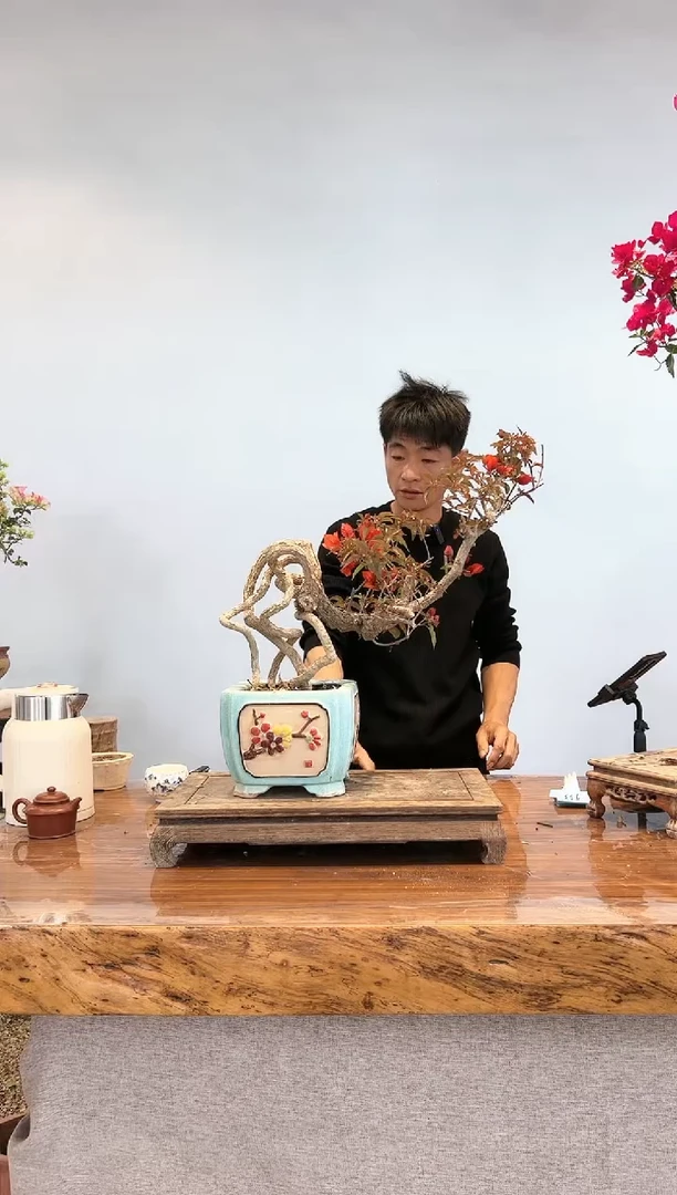 【闪购商品】aa927