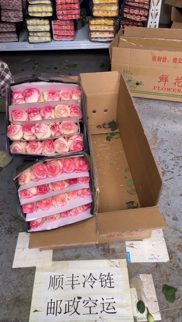 艾沙3扎