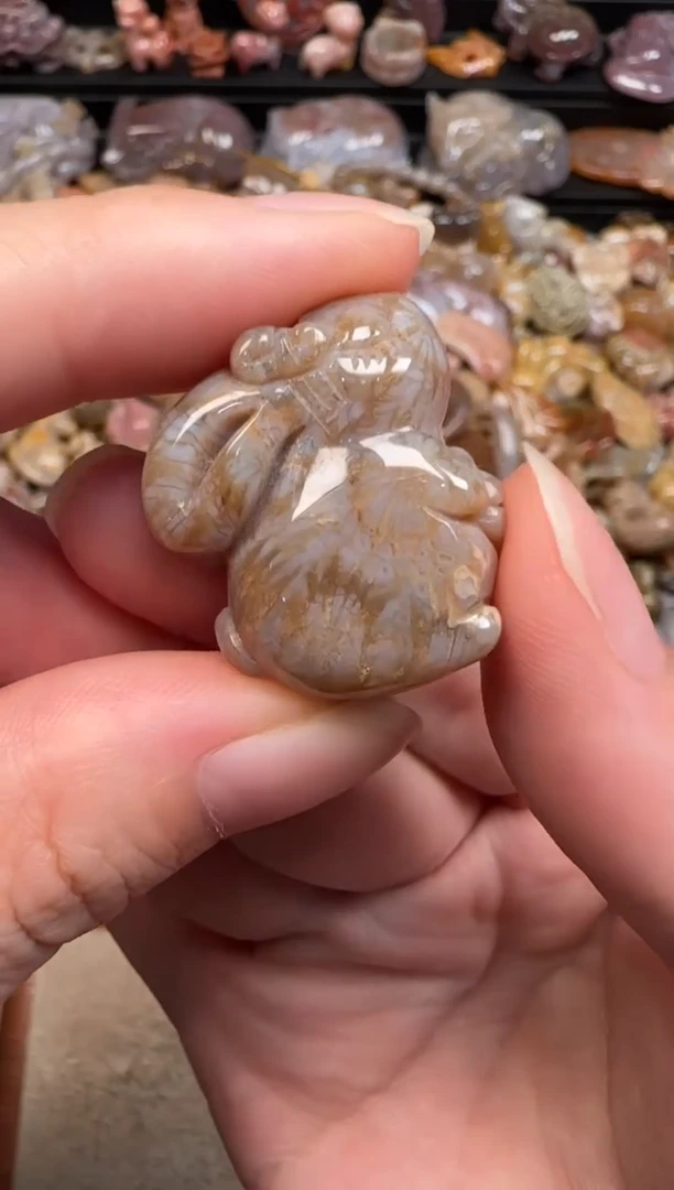 硅化珊瑚（珊瑚玉）未镶嵌颈饰053