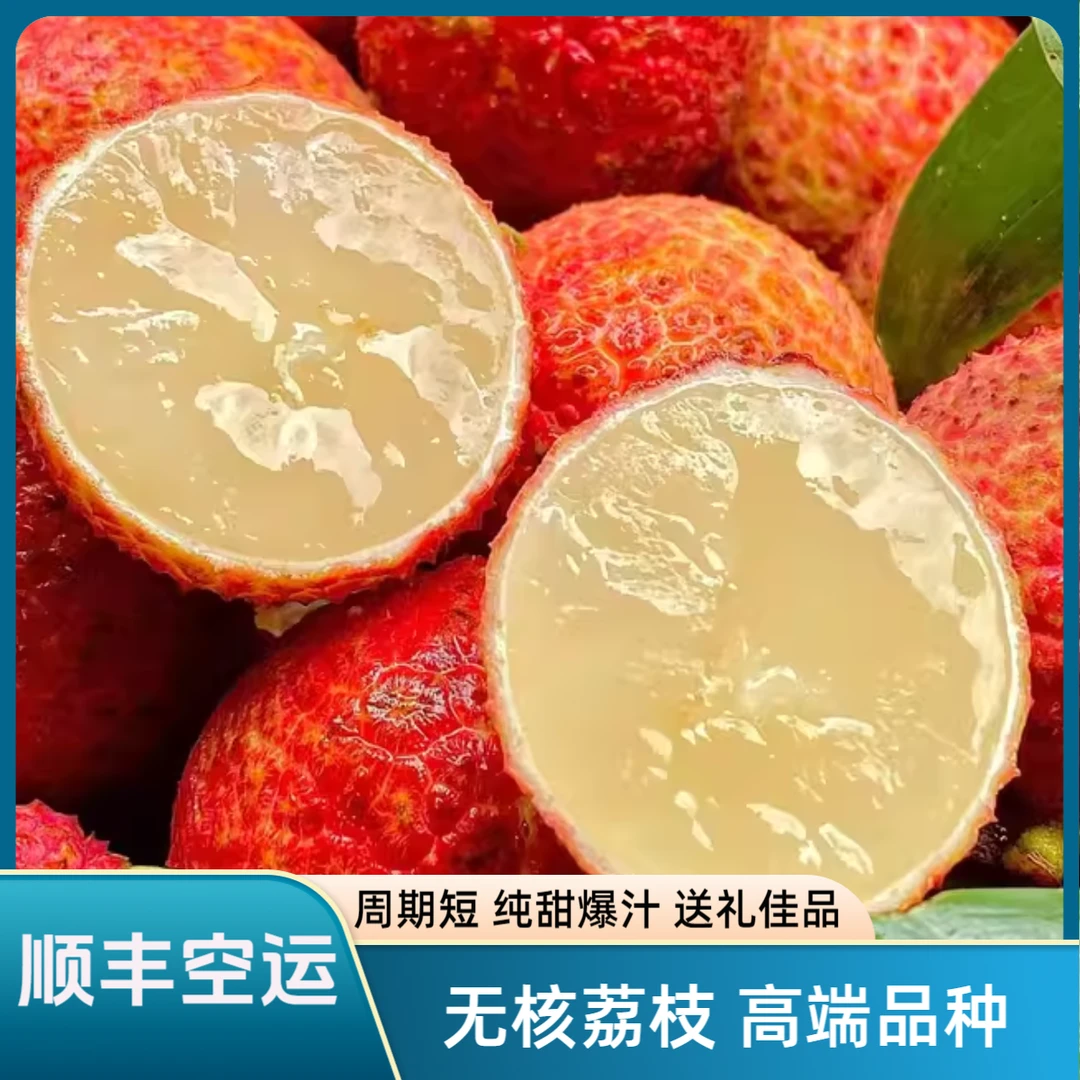 【精品无核荔枝】纯甜多汁无籽精选新鲜水果限大果高端现摘现发火山