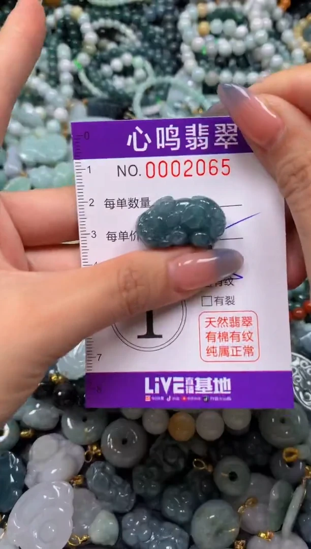 颈饰未镶嵌翡翠闪购002065