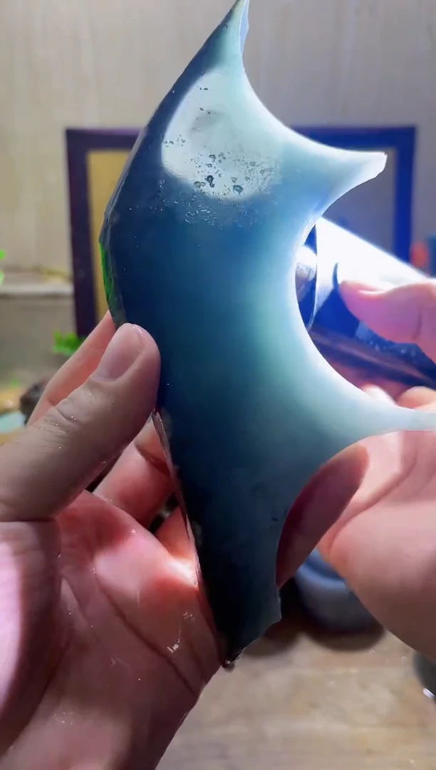 颈饰未镶嵌翡翠A货常星4276