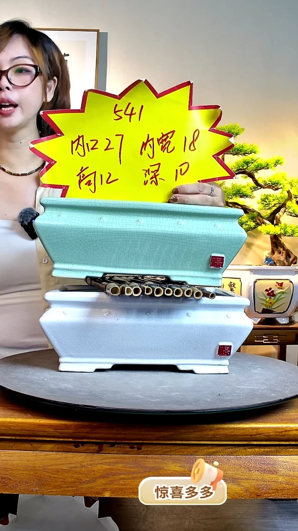 541一个白色一个青00000000000000000000
