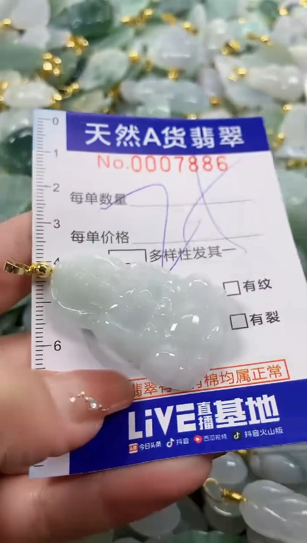 颈饰未镶嵌翡翠天然A货翡翠