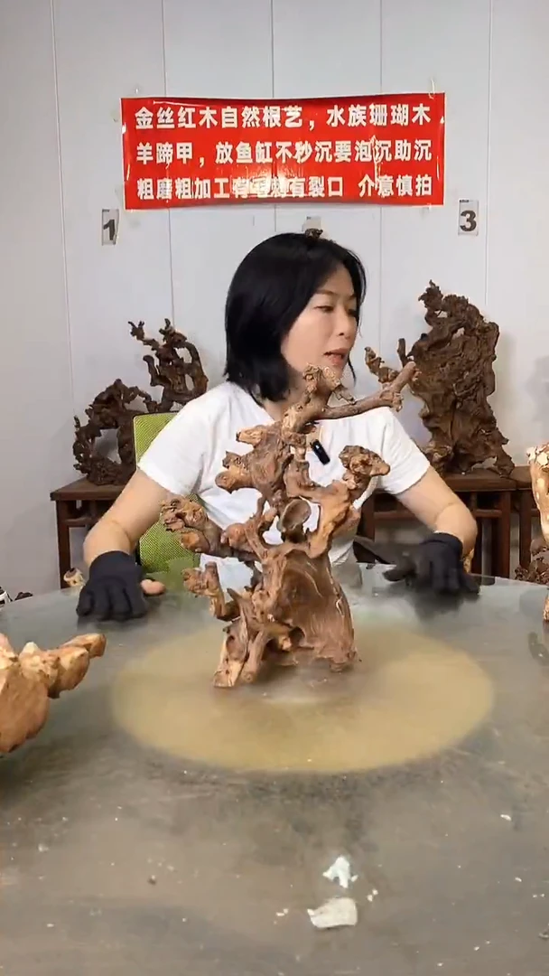 香榧木山**.金丝红木   羊蹄甲