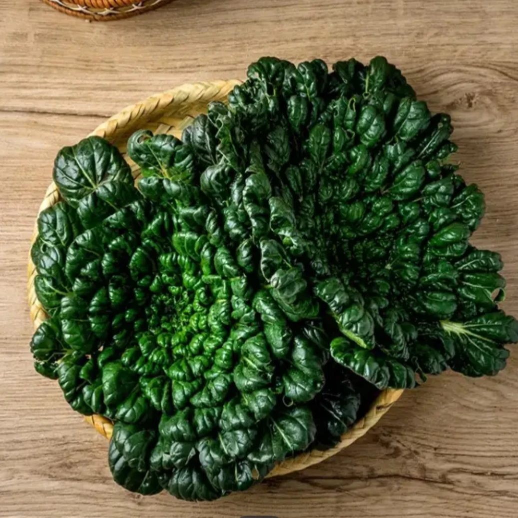【顺丰快递 送货上门】上海新鲜蔬菜 塔菜 3斤/份