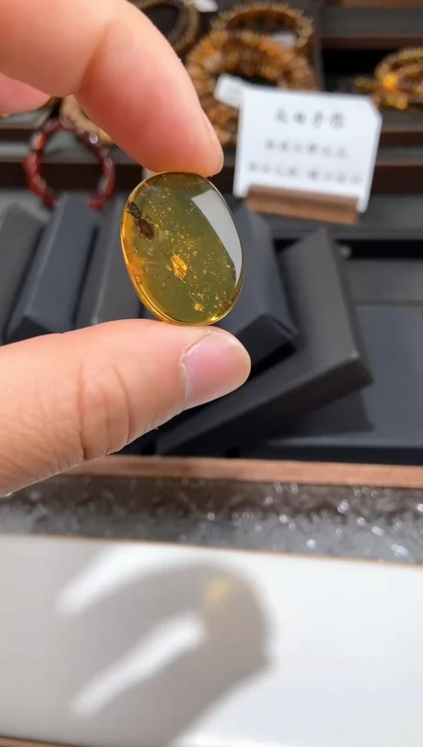 【闪购商品】琥珀颈饰未镶嵌虫珀随形