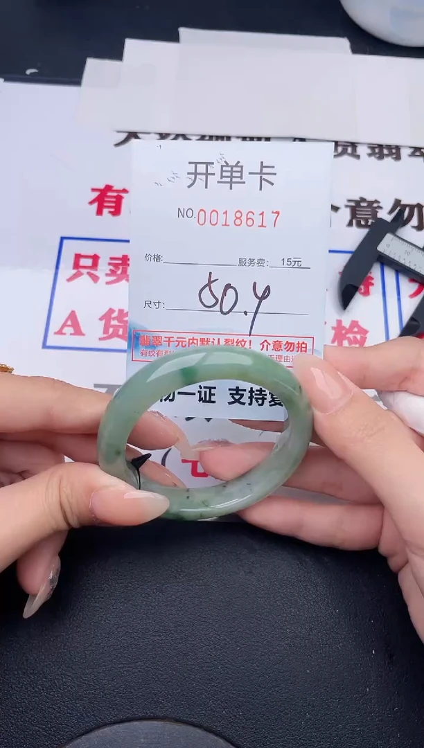 未镶嵌手镯翡翠17