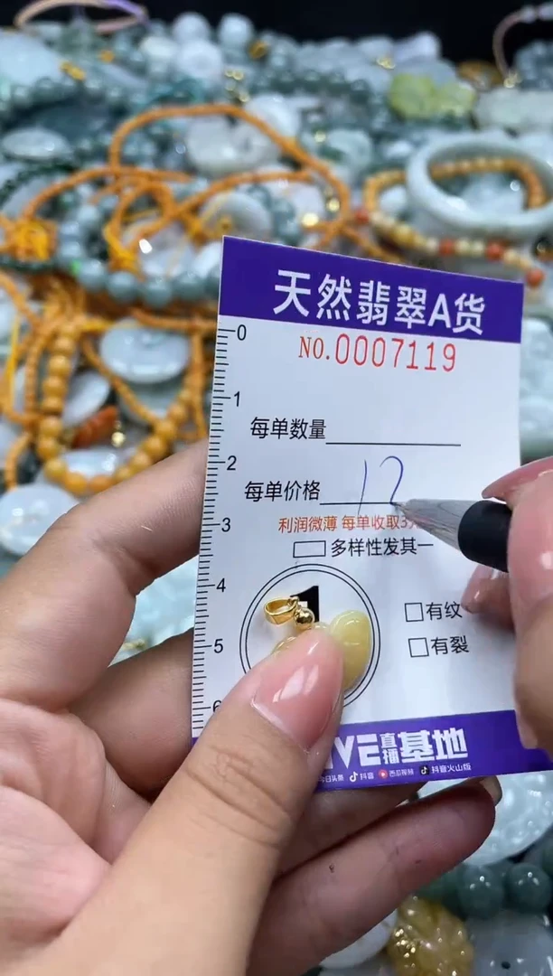 翡翠未镶嵌颈饰07119
