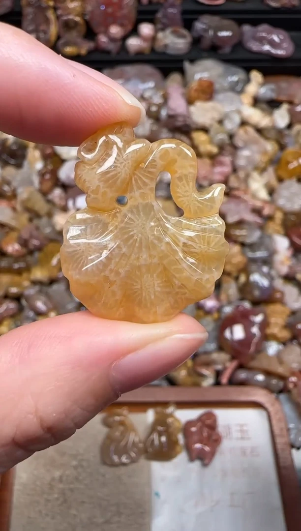 颈饰未镶嵌硅化珊瑚（珊瑚玉）843