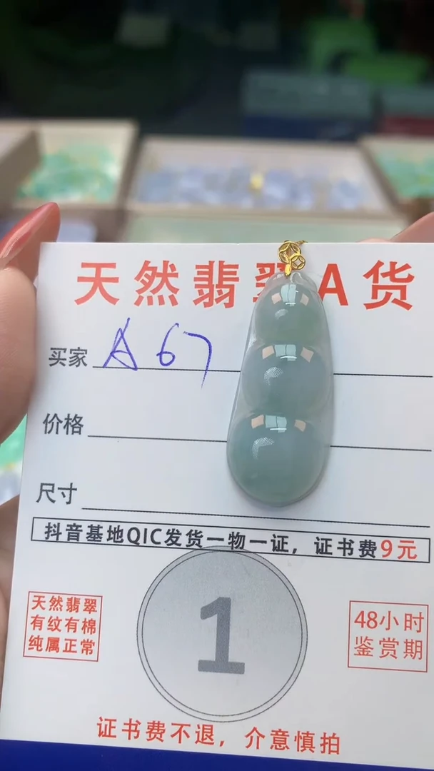 颈饰未镶嵌翡翠天然A货翡翠挂件
