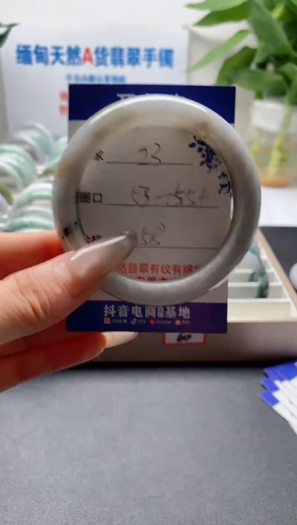 未镶嵌手镯翡翠23