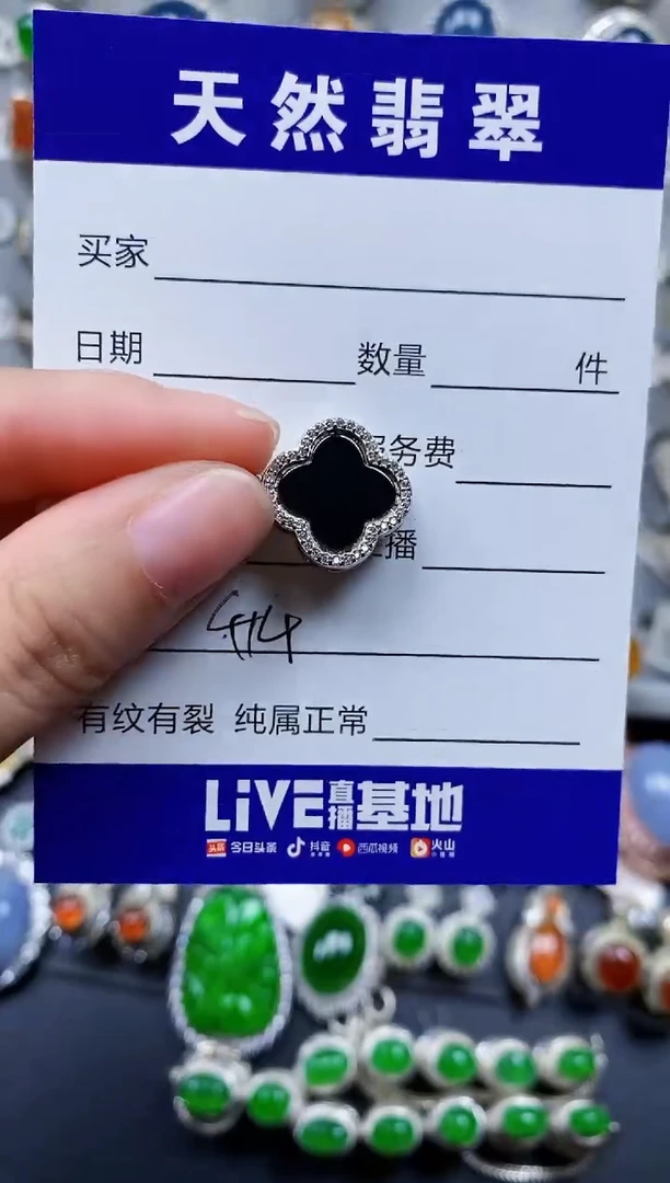 翡翠银S925镶嵌颈饰414