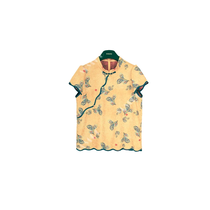 【扶摇】新中式国风2025夏季新款上衣MCGSY1358