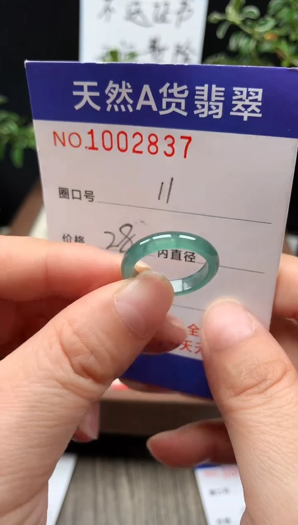 未镶嵌戒指翡翠11#