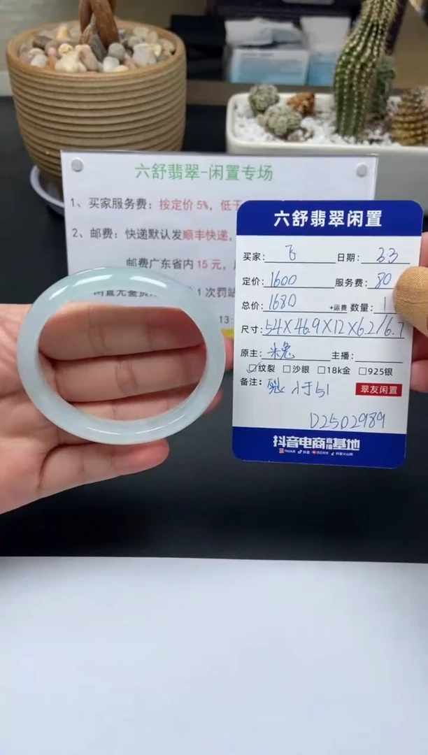 【闪购商品】翡翠手镯未镶嵌D2502989