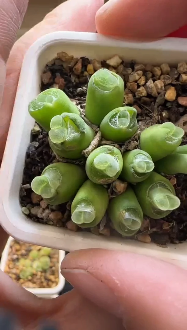 【闪购商品】14-187