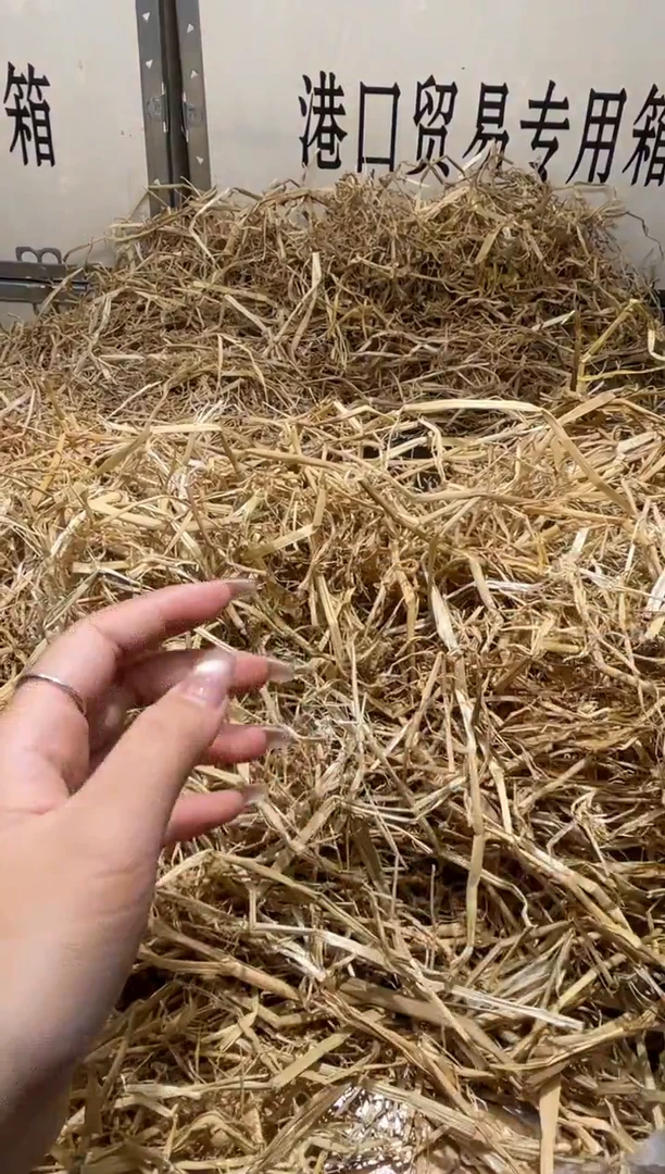 未镶嵌手镯石英质玉T2531B