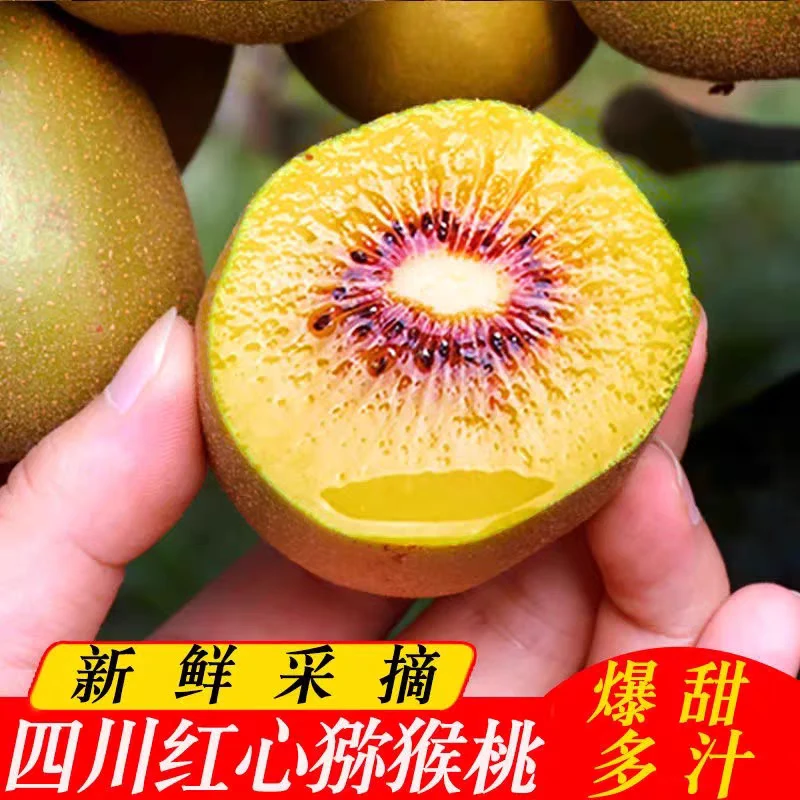 黔人家【24枚装】四川蒲江红心猕猴桃香甜可口新鲜应季水果奇异果