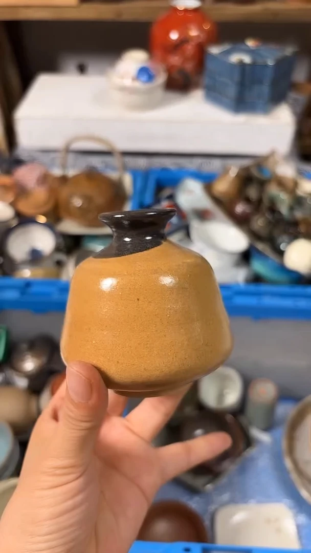 瓷片喵喵家都是大漂亮