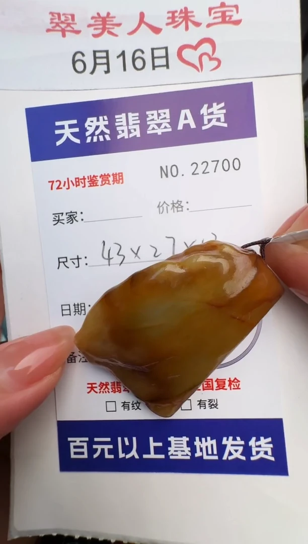 翡翠未镶嵌颈饰原石22700