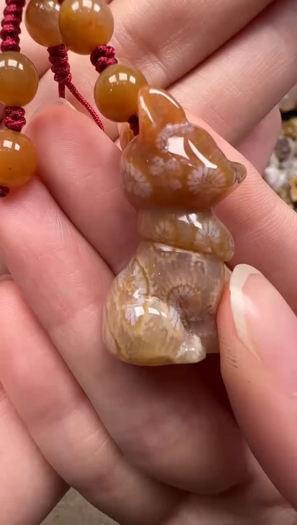 硅化珊瑚（珊瑚玉）未镶嵌颈饰614