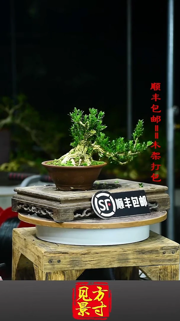 文22222222222222