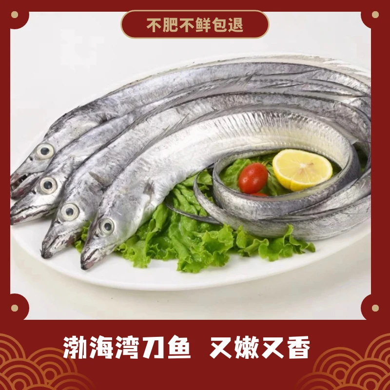 大连渤海湾刀鱼【5斤起拍】独立包装易掉鳞，保鲜/易破肚大连发货