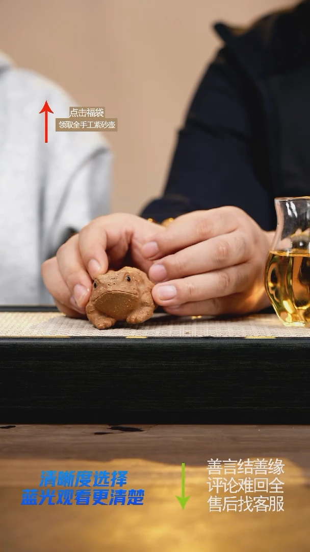 赵掌柜紫砂茶宠壶