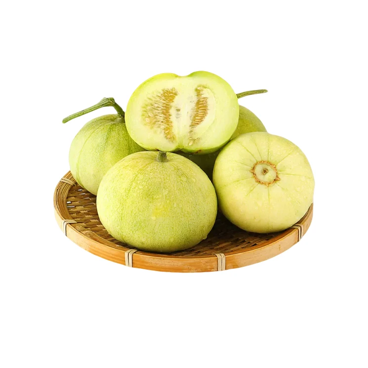 精品水果 马连庄甜瓜 2-2.5斤/份