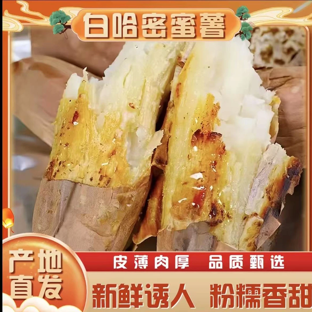 正宗白哈密冰糖心白心红薯沙土地种植甜糯哈密冰糖白心蜜薯