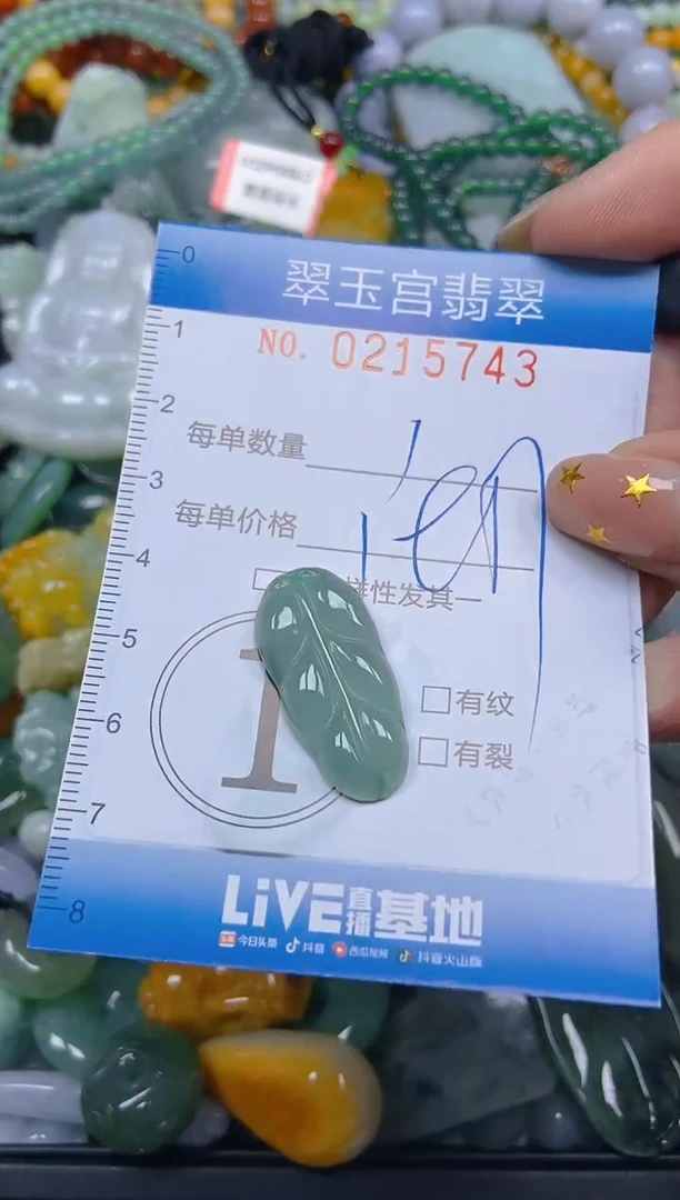 颈饰未镶嵌翡翠闪购C0215743