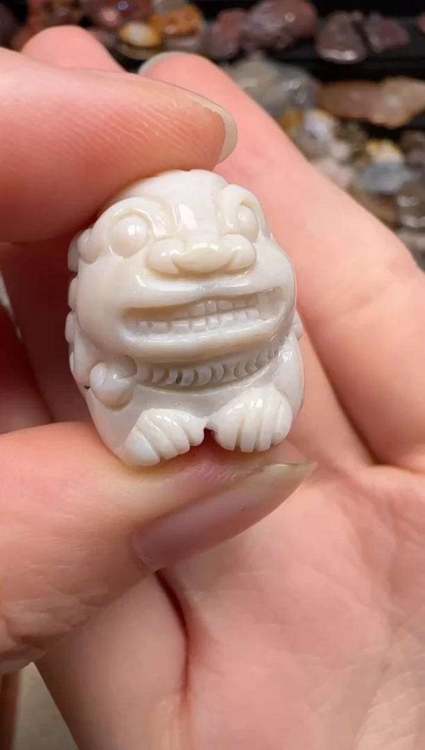 硅化珊瑚（珊瑚玉）未镶嵌颈饰603