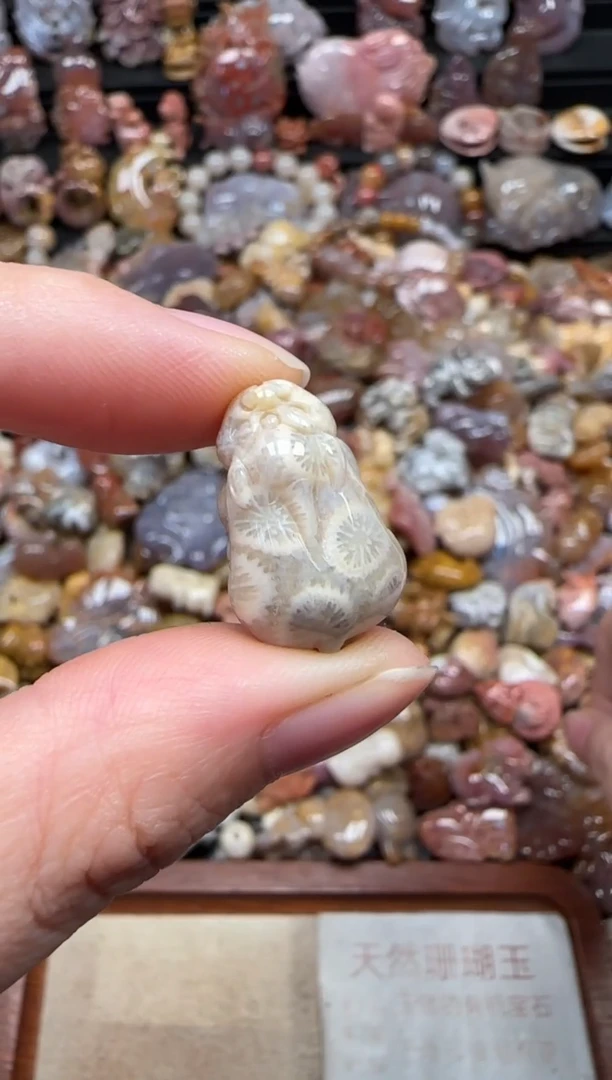 颈饰未镶嵌硅化珊瑚（珊瑚玉）773