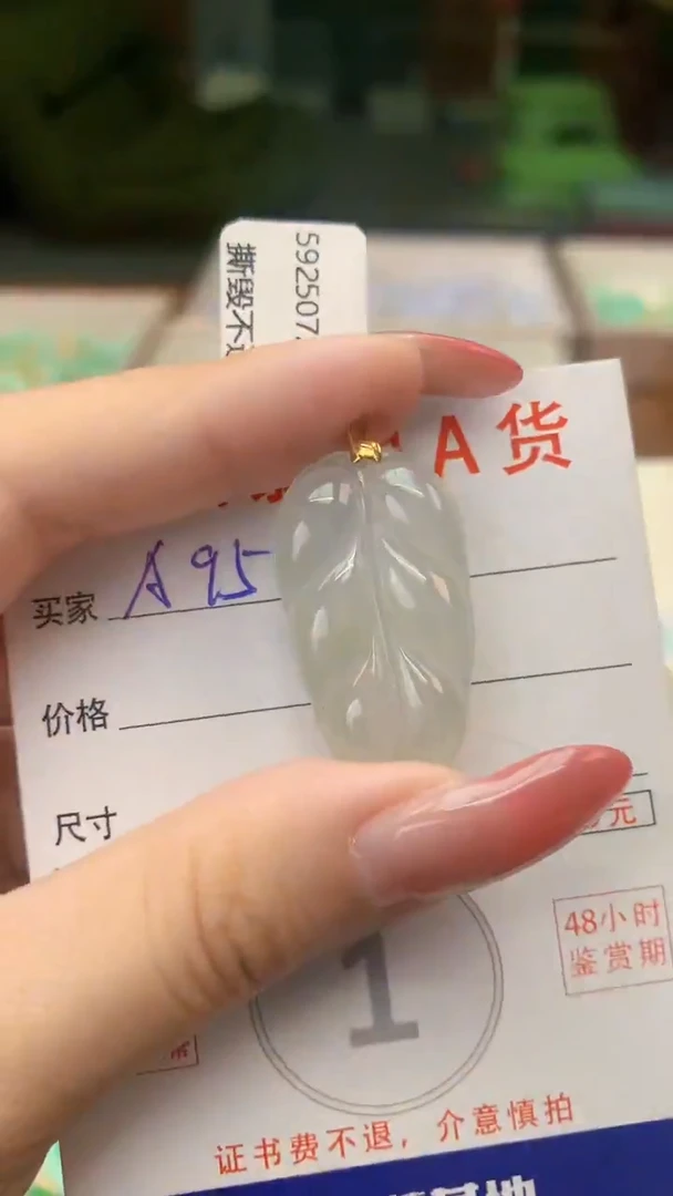 颈饰未镶嵌翡翠天然A货翡翠挂件
