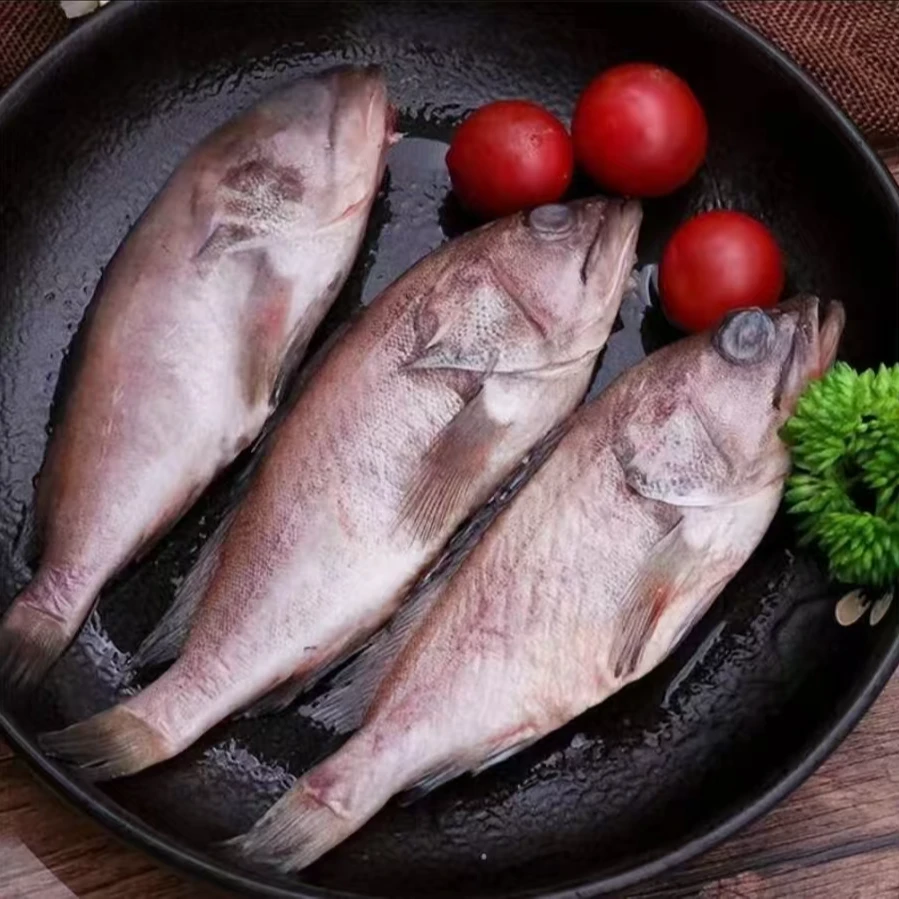 连云港发货  青石斑鱼 【2条/包】每包450克-500克 到手五包