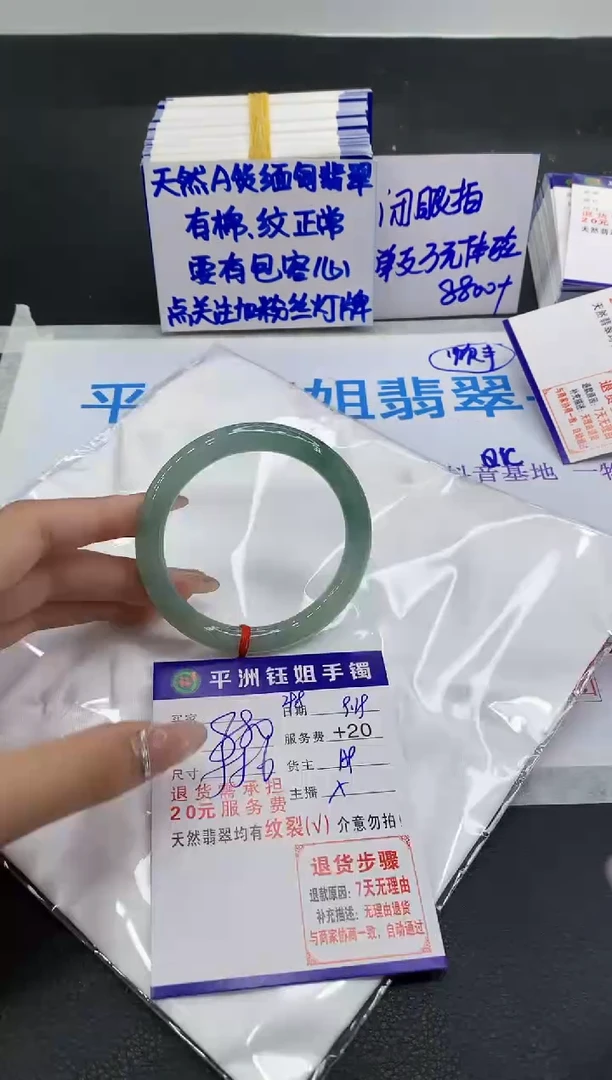未镶嵌手镯翡翠1