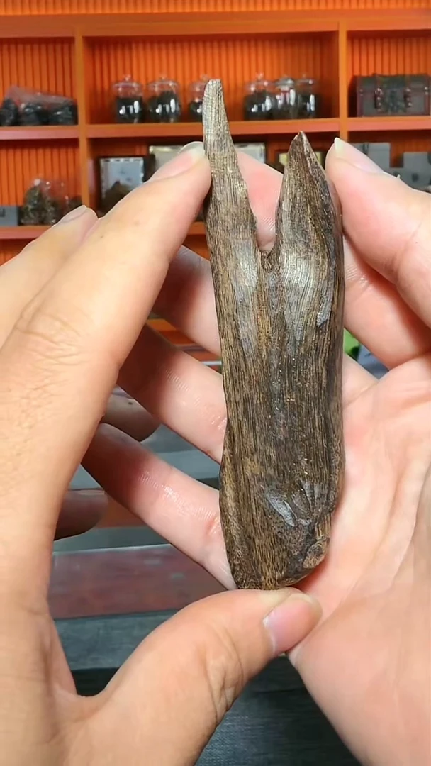 沉香手把件240号原材32g多样性发一